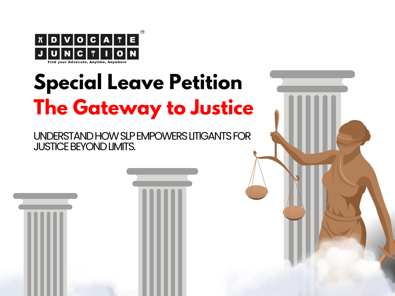 SPECIAL LEAVE PETITION (CONSTITUTIONAL LAW)