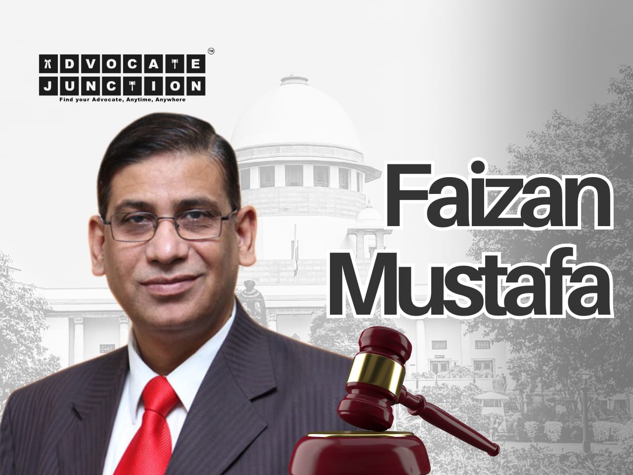 legal personality, Faizan Mustafa, Constitutional law